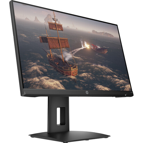 HP 24-inch professional monitor
